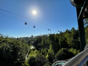 San Diego Zoo Attractions